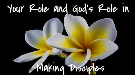 Your Role and God's Role in Making Disciples - pursueGOD.org